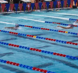swim race in pool with lane lines
